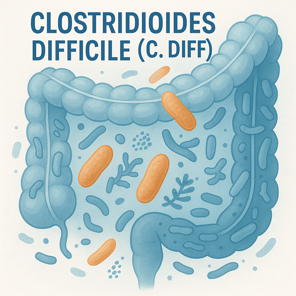 Clostridioides difficile (C. diff): What You Need to Know to Stay Safe and Healthy - InnerBuddies