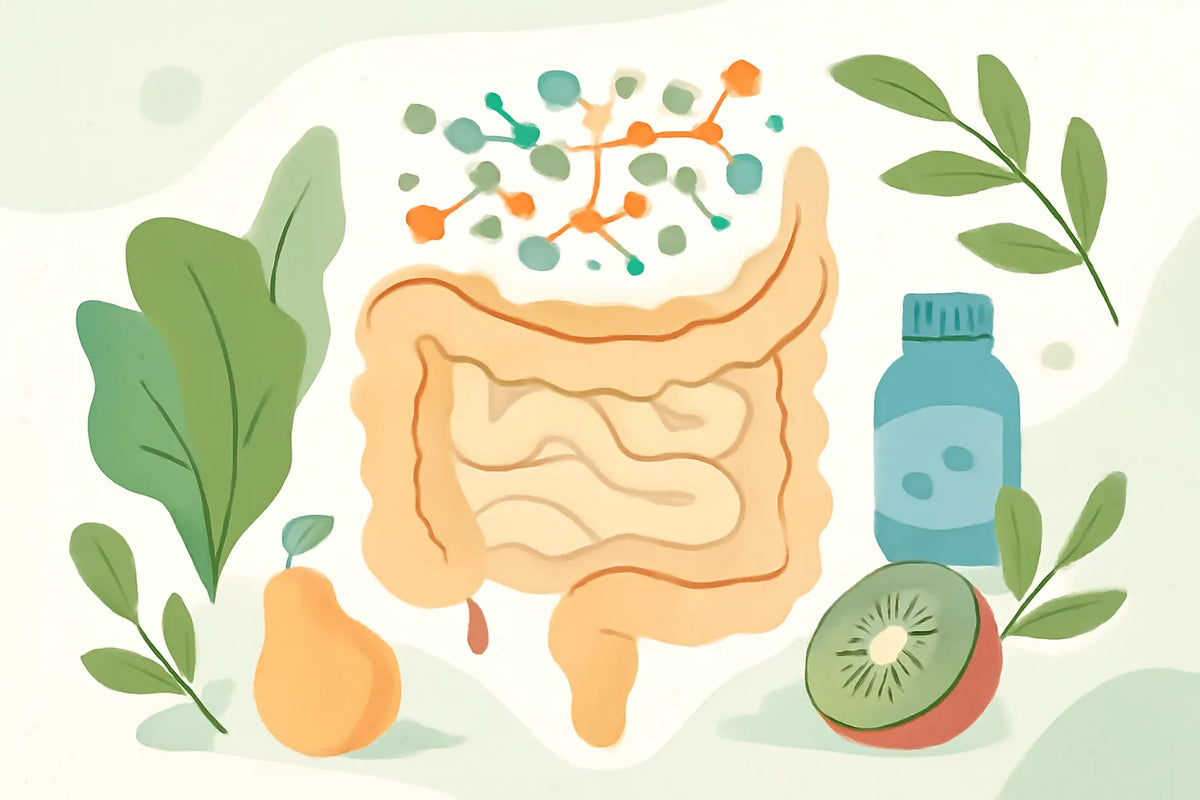 gut health