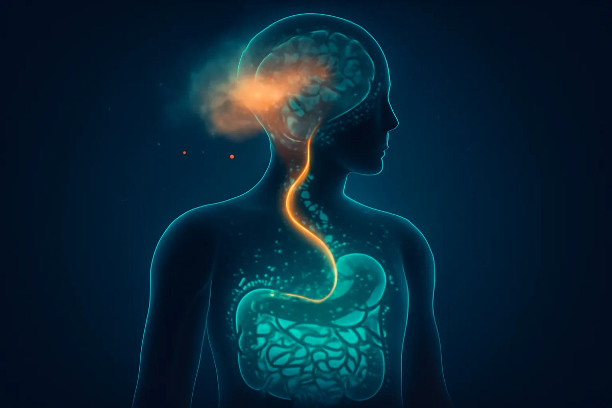brain fog causes