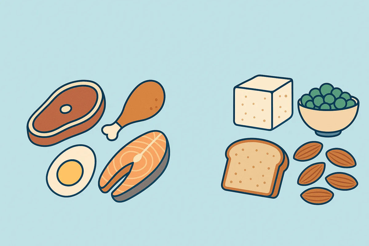 Animal vs. Plant Protein: What Science Really Says About Health, Aging, and How Much You Need