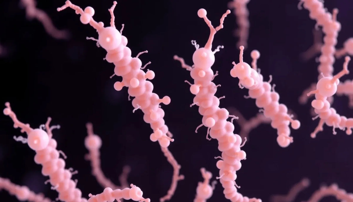 Bifidobacterium infantis: A Natural Solution for IBS Relief and Gut Inflammation