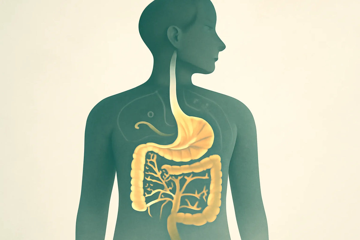 functional nutritionist