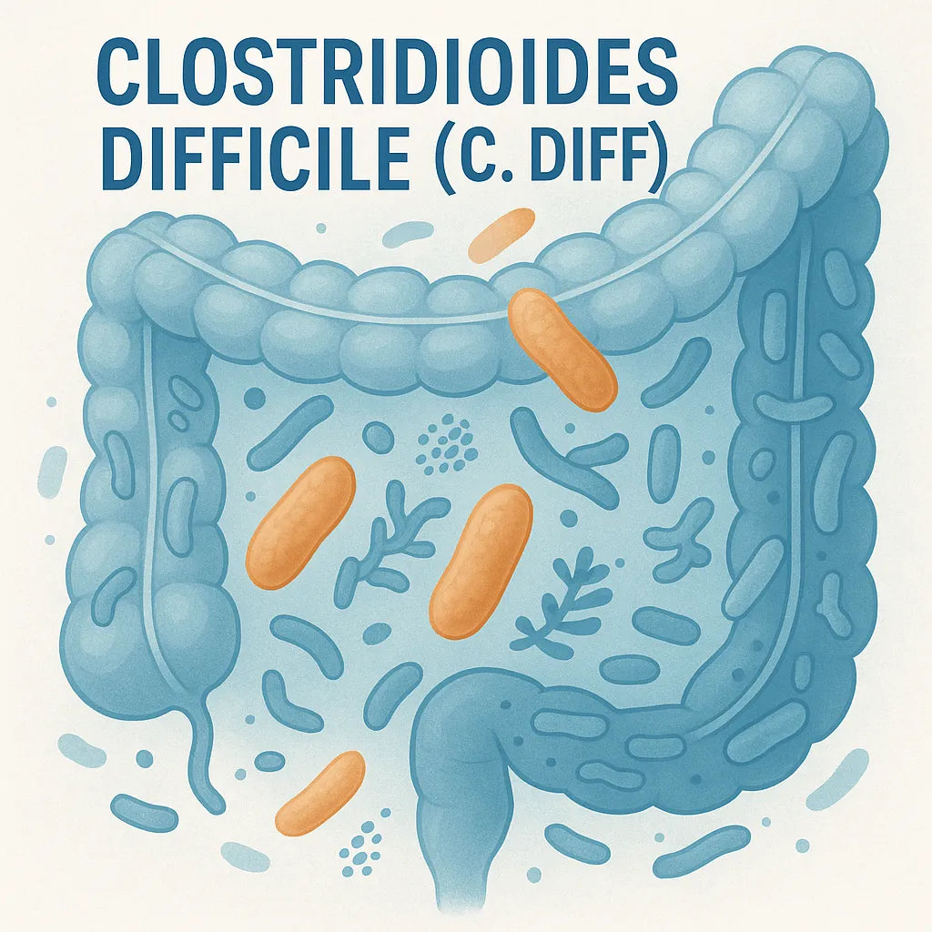 Clostridioides difficile (C. diff): What You Need to Know to Stay Safe and Healthy