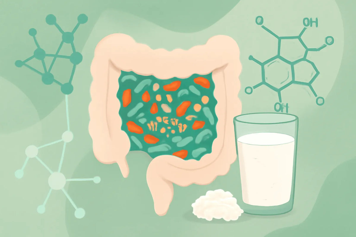 kefir and cortisol