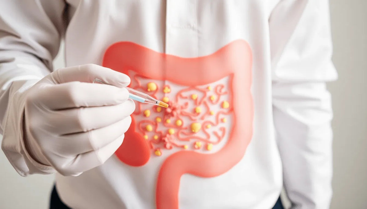 Fix Your Gut, Fix Your Life with InnerBuddies Gut Microbiome Test
