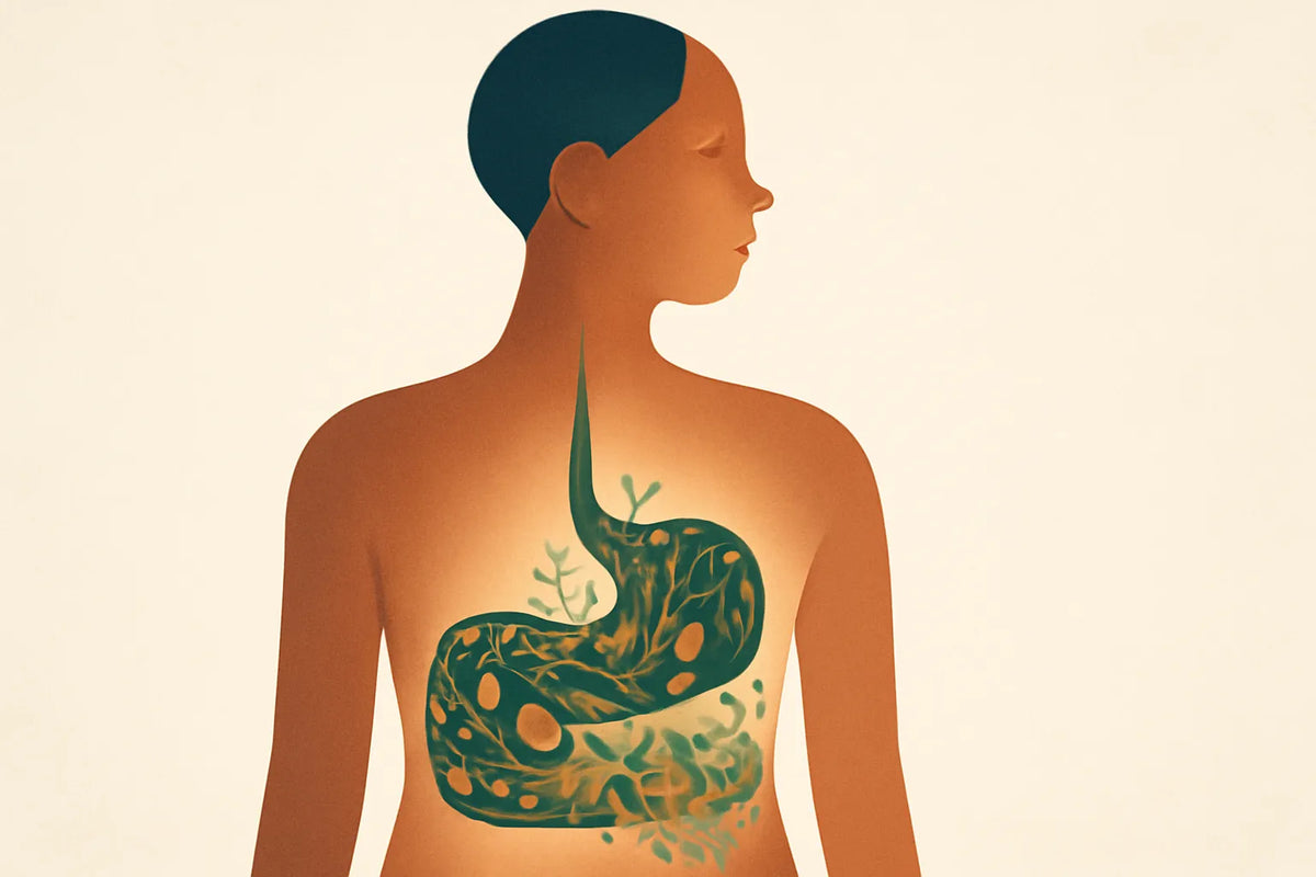 healthy aging microbiome foods