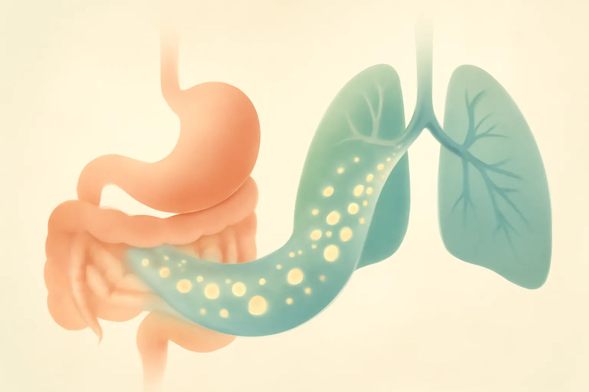 gut bacteria asthma