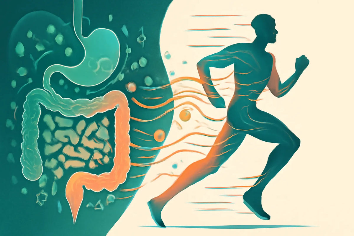 gut health for runners