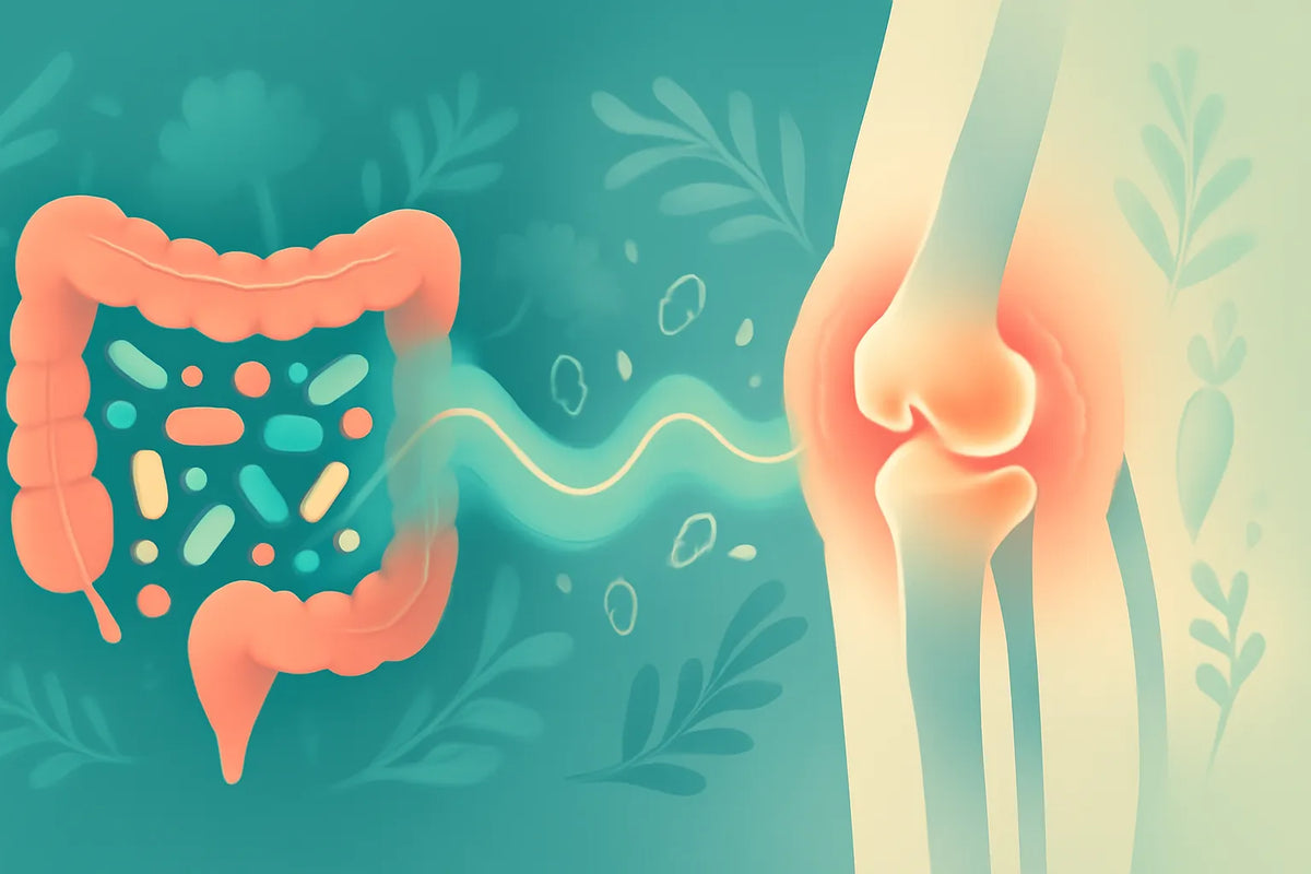 gut microbiome arthritis