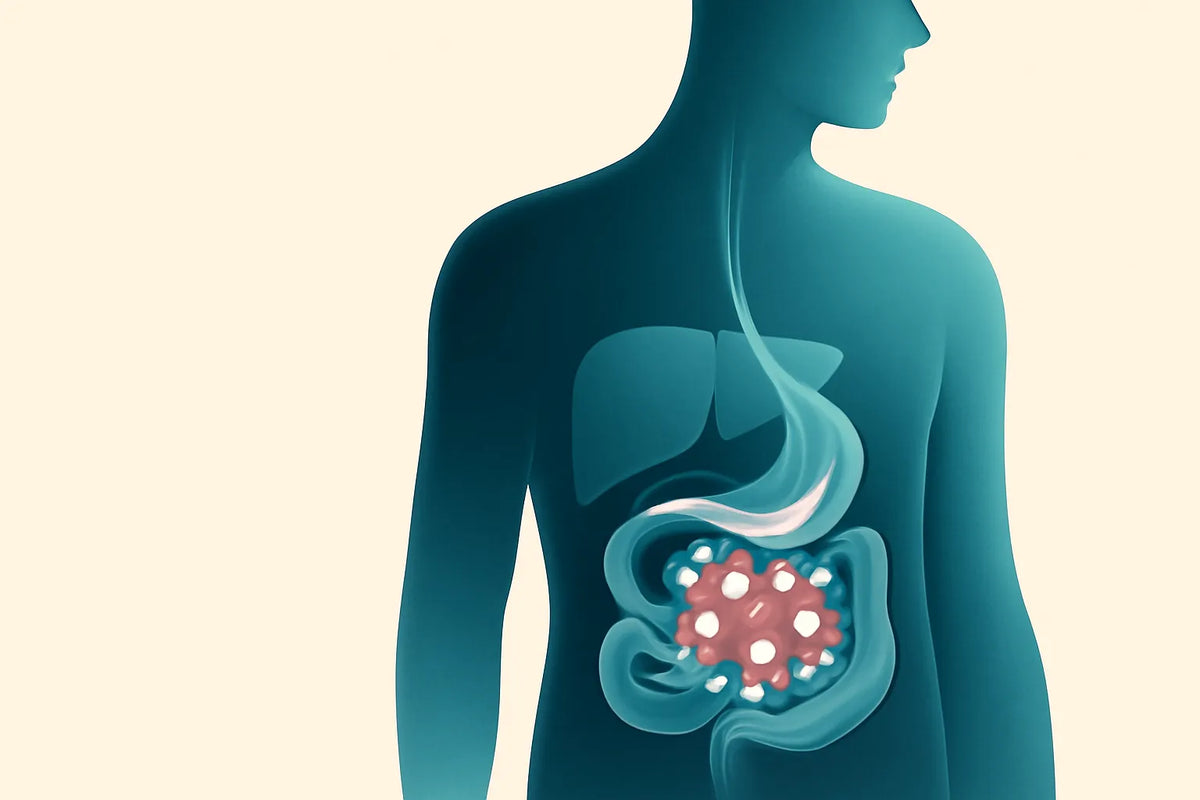 gut microbiome and cholesterol