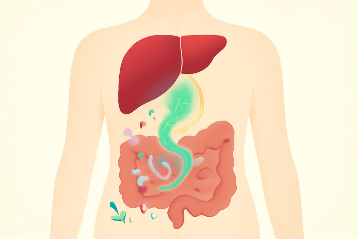 gut microbiome NAFLD