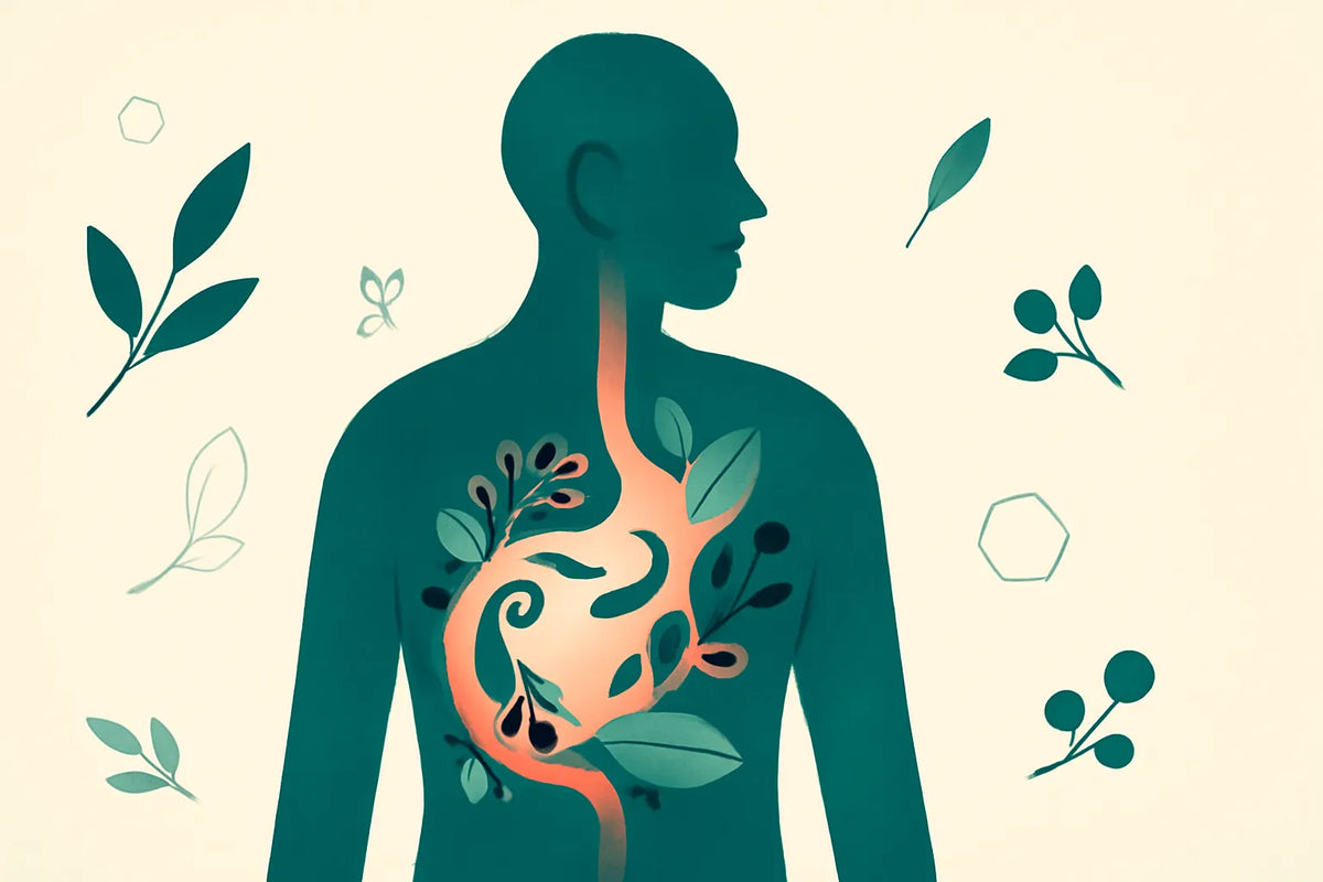 gut microbiome longevity