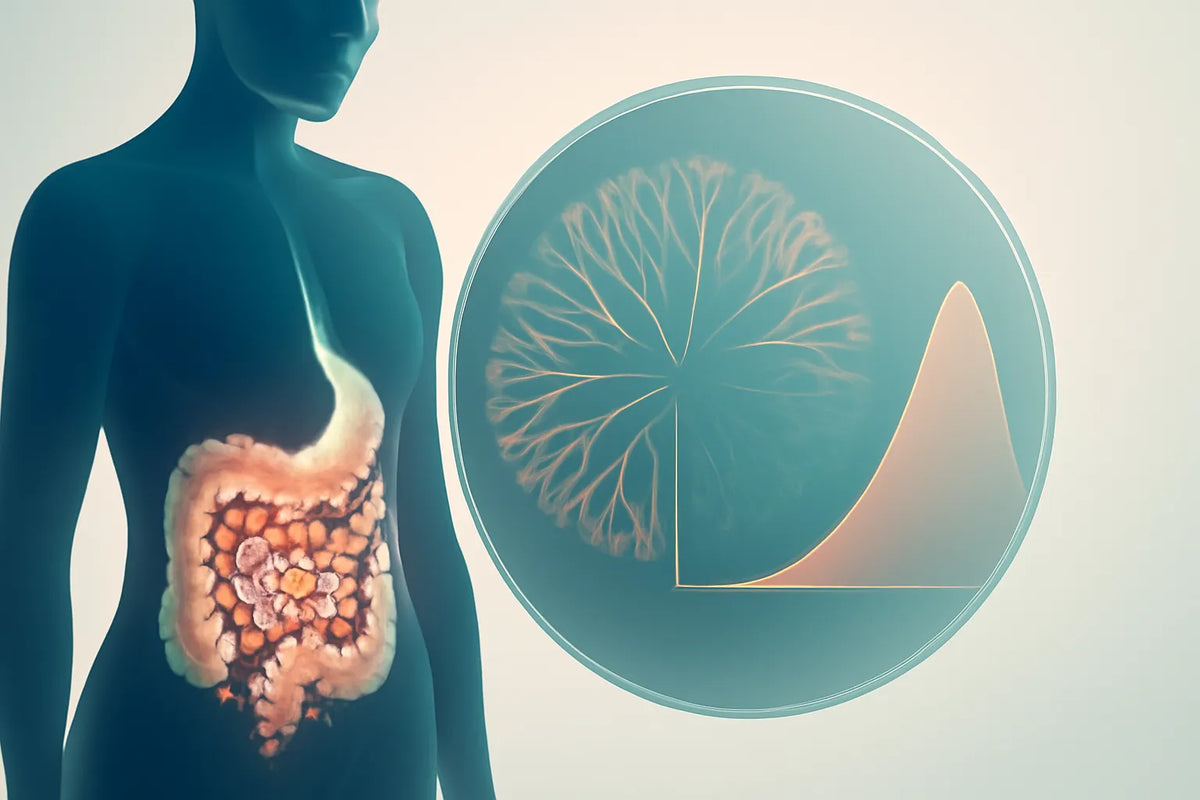 gut microbiome report
