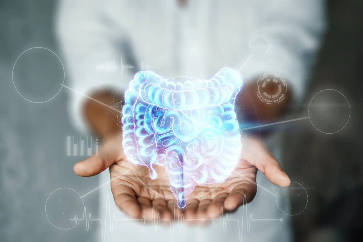 Gut Microbiome: The Good, The Bad, and The Ugly
