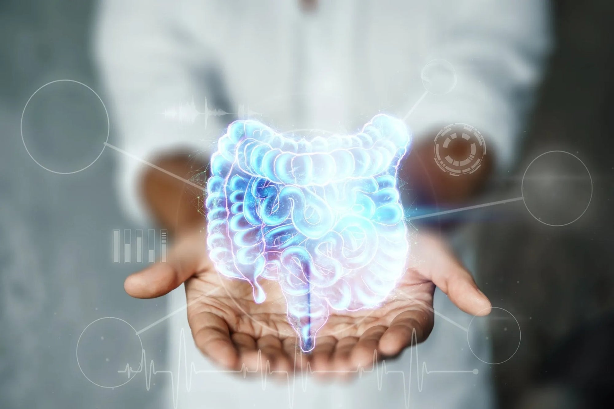 Gut Microbiome: The Good, The Bad, and The Ugly