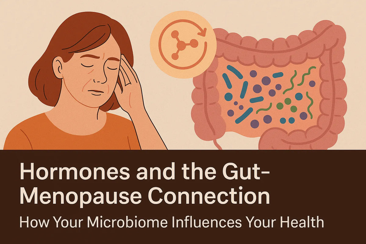Hormones and the Gut-Microbiome Connection During Menopause: How Bacteria Shape Hormonal Balance