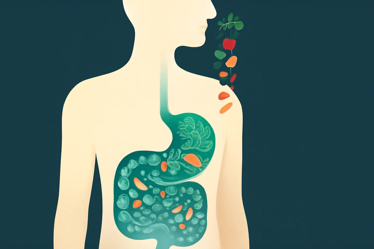 personalized nutrition plan