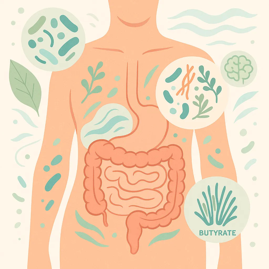 gut health