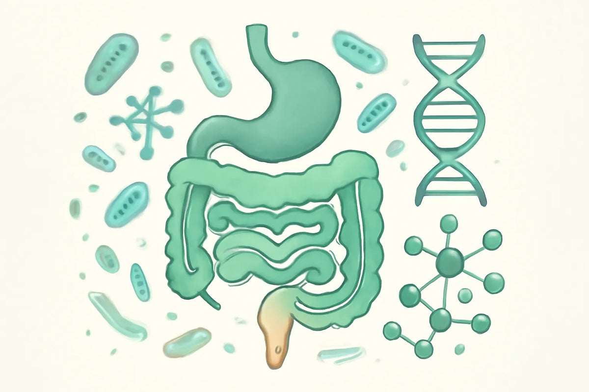 gut biome test