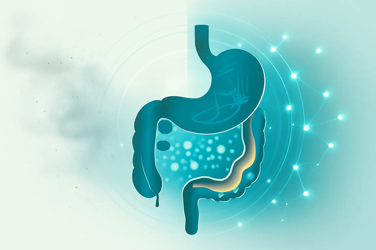 flush out inflammation