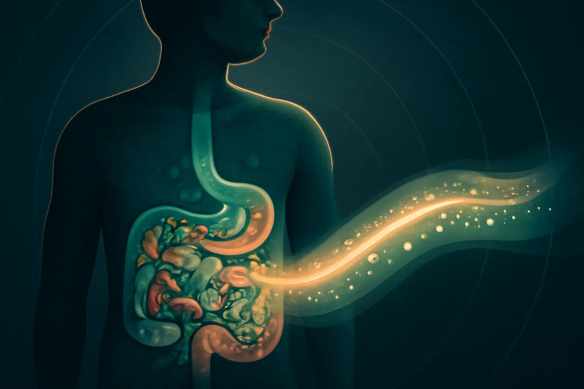 intermittent fasting microbiome