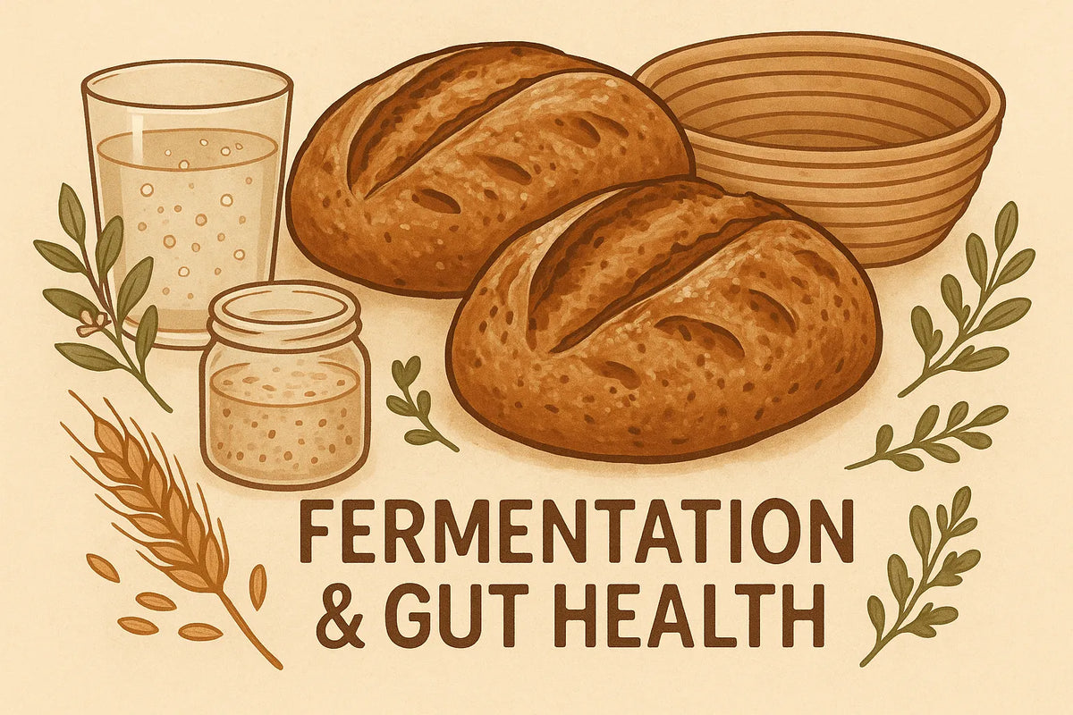 Normal Brea Sourdough vs Normal Bread: Gut Health Benefits Compared – InnerBuddies