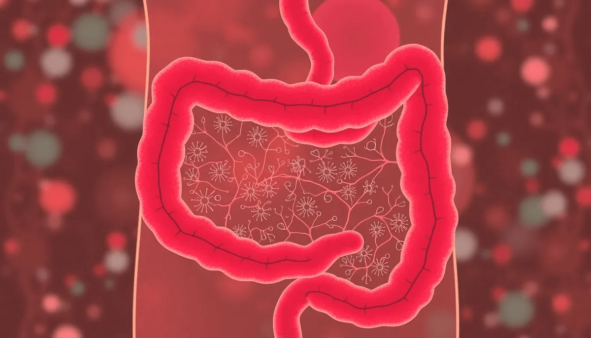 Is Your Gut the Key to Better Health Discover the Power of Your Gut Microbiome