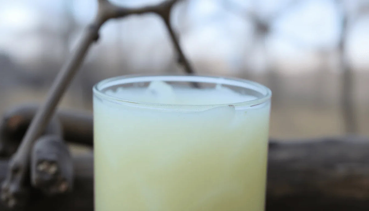 Lactobacillus reuteri: Key Probiotic for Gut, Skin & Oral Health Benefits