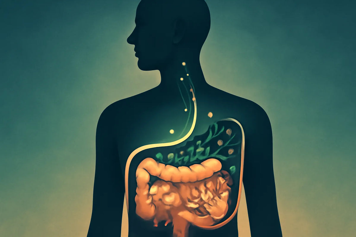 microbiome and alcohol recovery