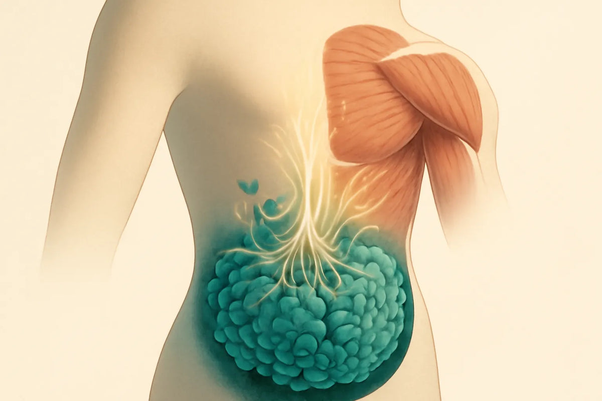 microbiome and sarcopenia