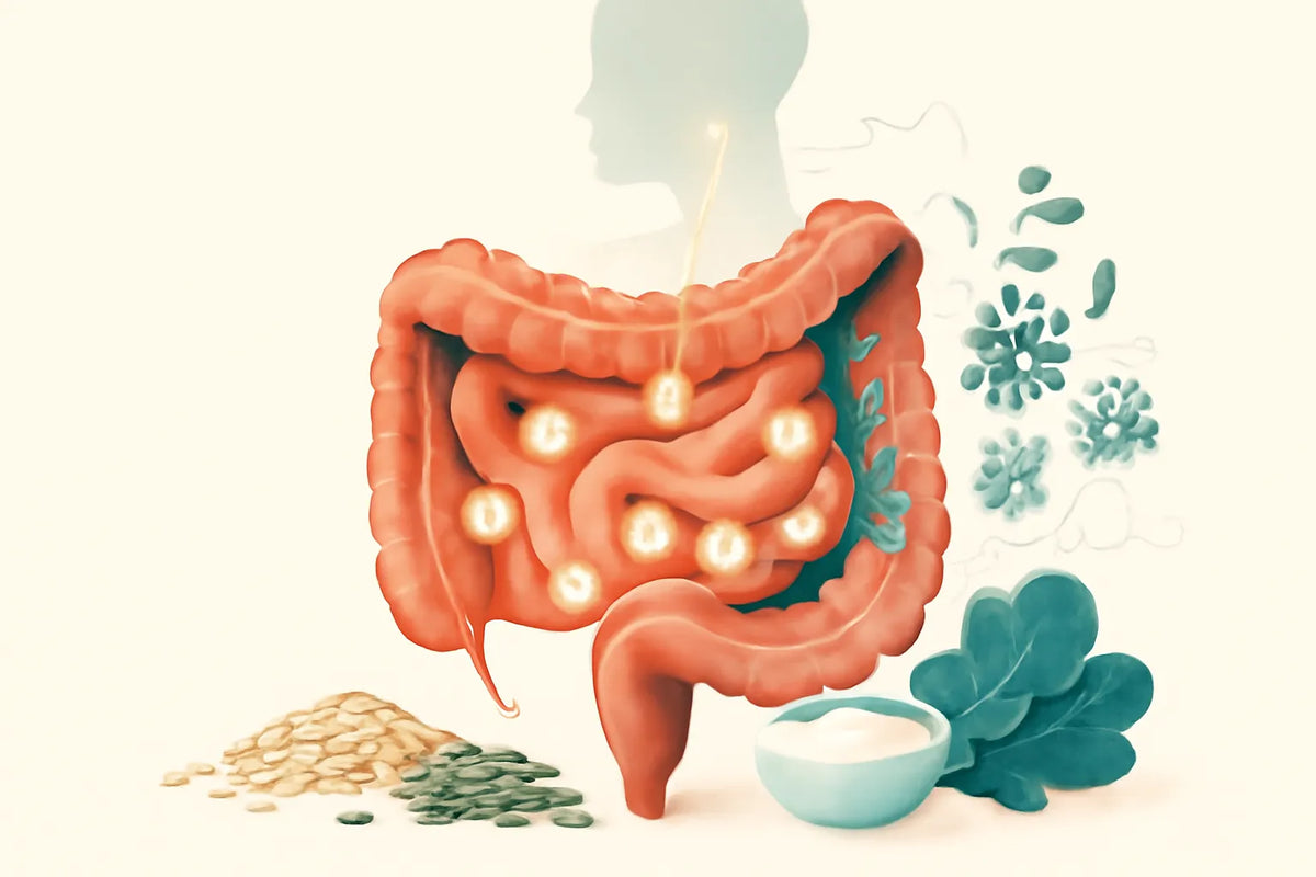 microbiome and serotonin