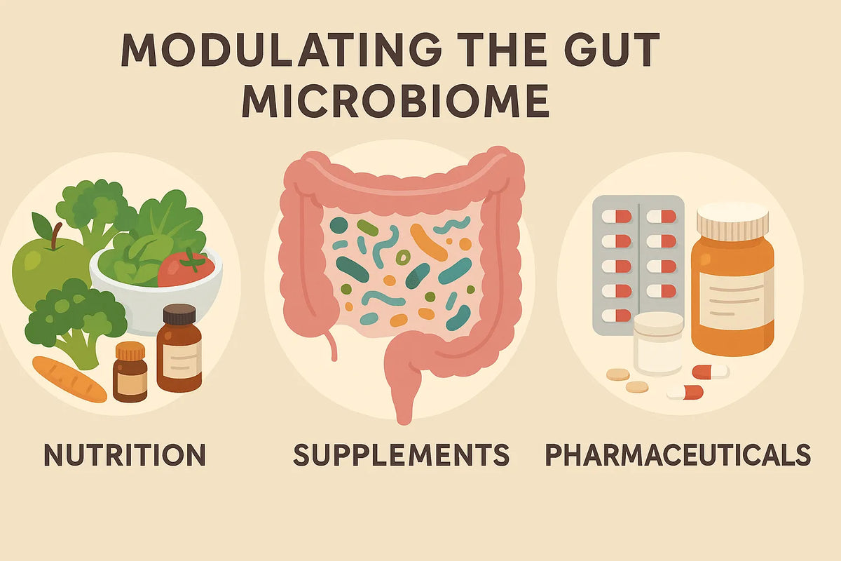 Modulating the gut microbiome with nutrition, food supplements or pharmaceutical pills