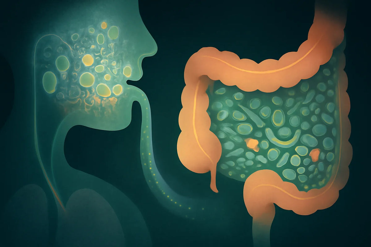 oral microbiome vs gut microbiome