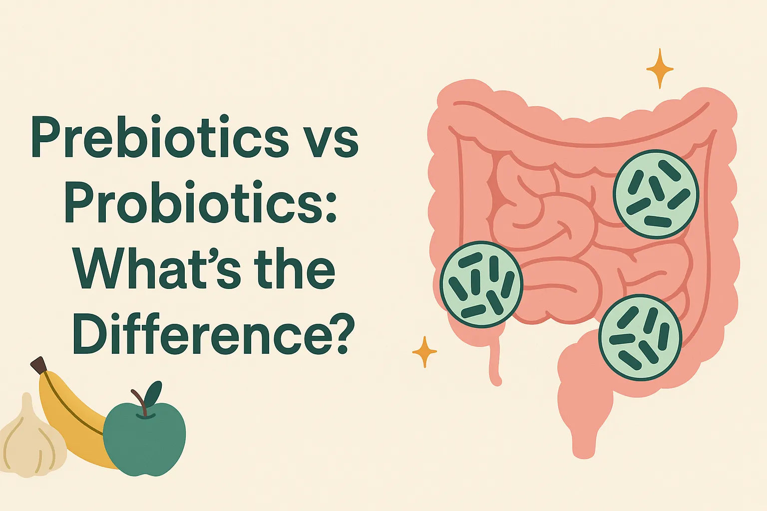 Prebiotics vs. Probiotics: Understanding the Key Differences for Optimal Gut Health