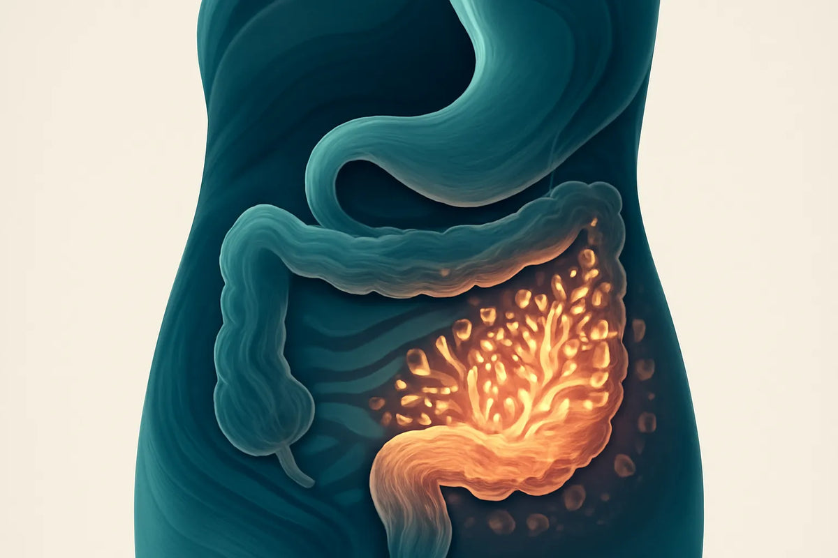 resistant starch supplements