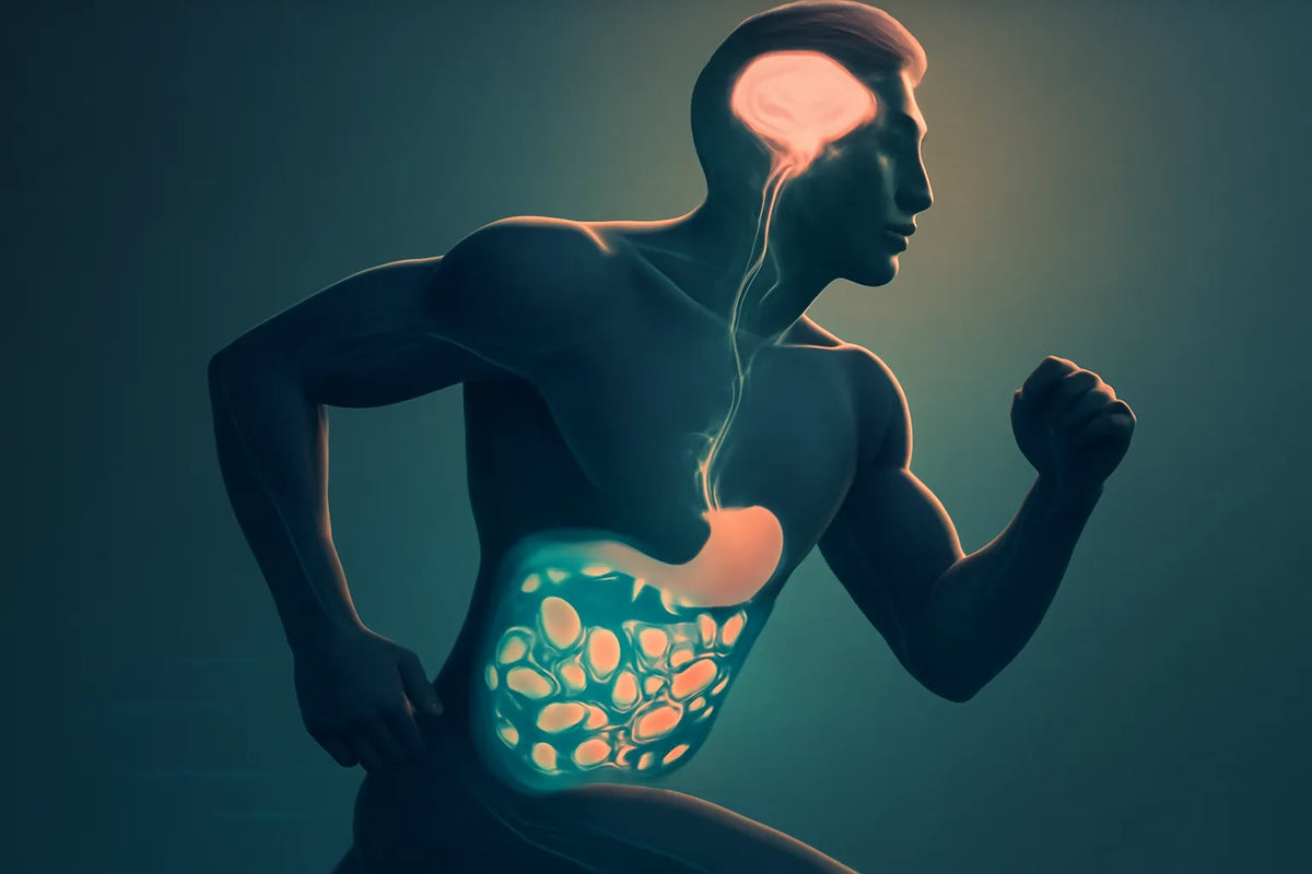sports nutrition microbiome