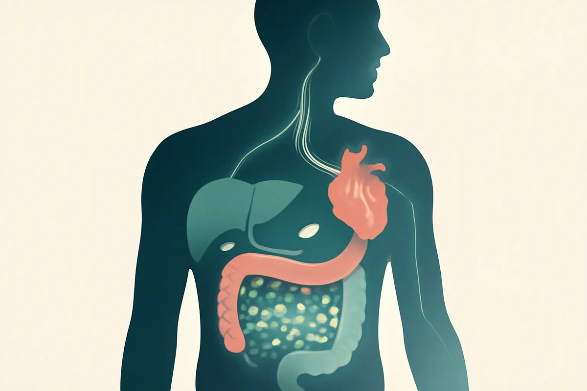 statins and microbiome