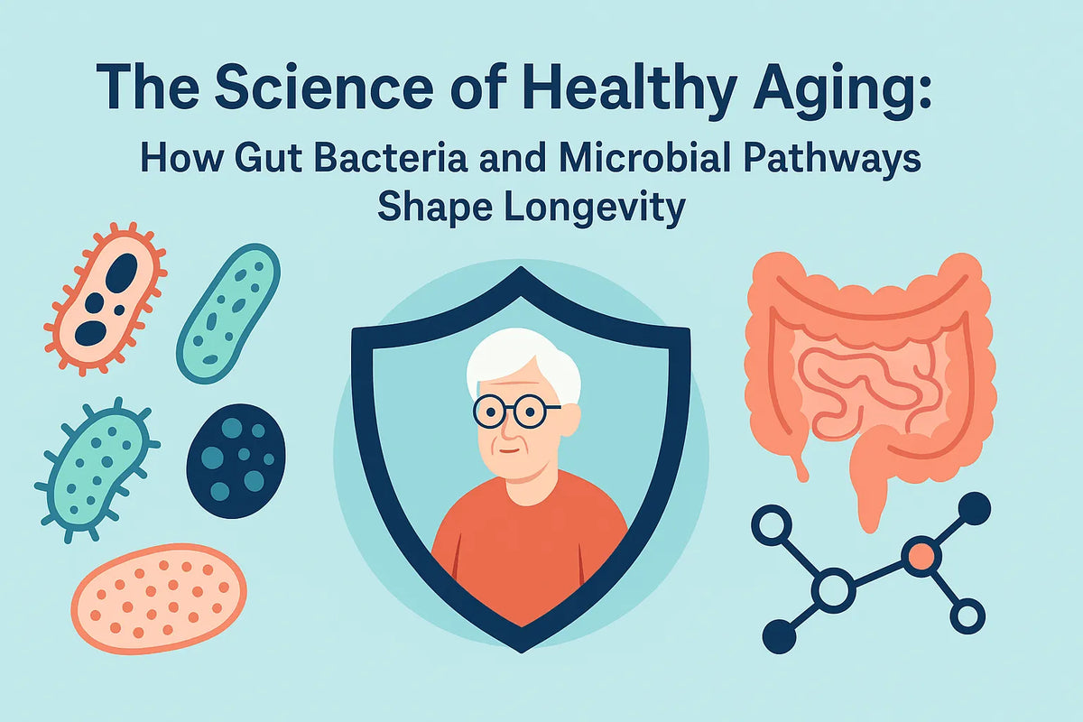 The Science of Healthy Aging: How Gut Bacteria and Microbial Pathways Shape Longevity