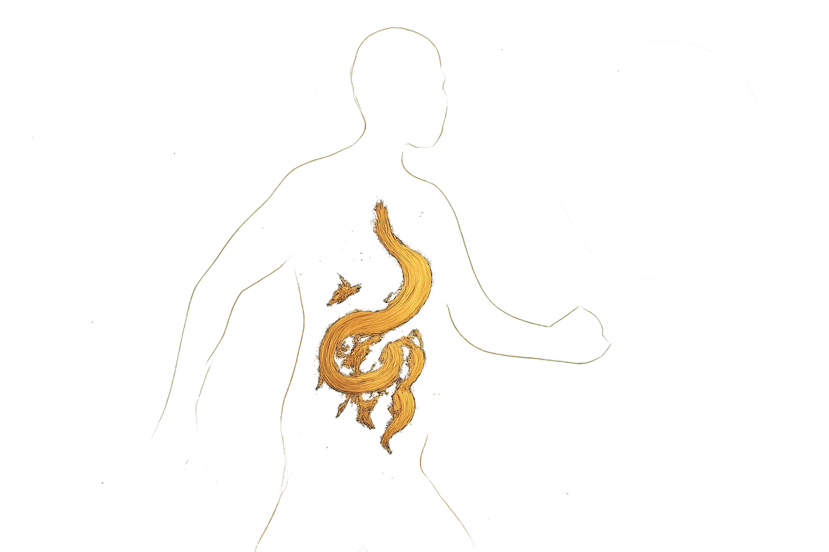 traveler's microbiome