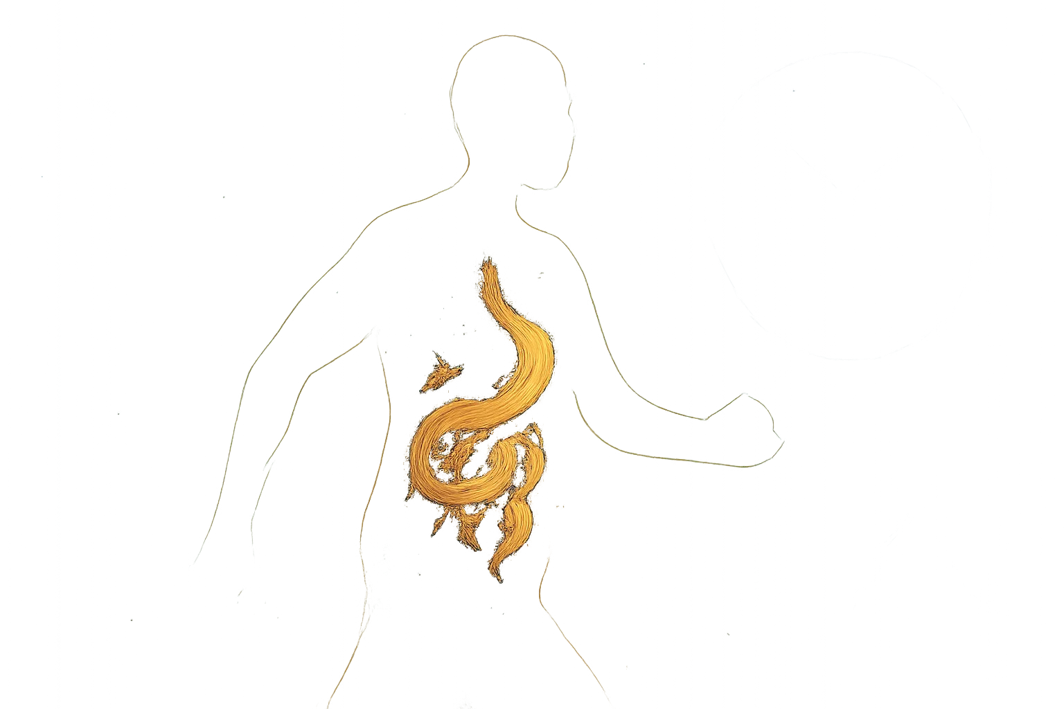 traveler's microbiome
