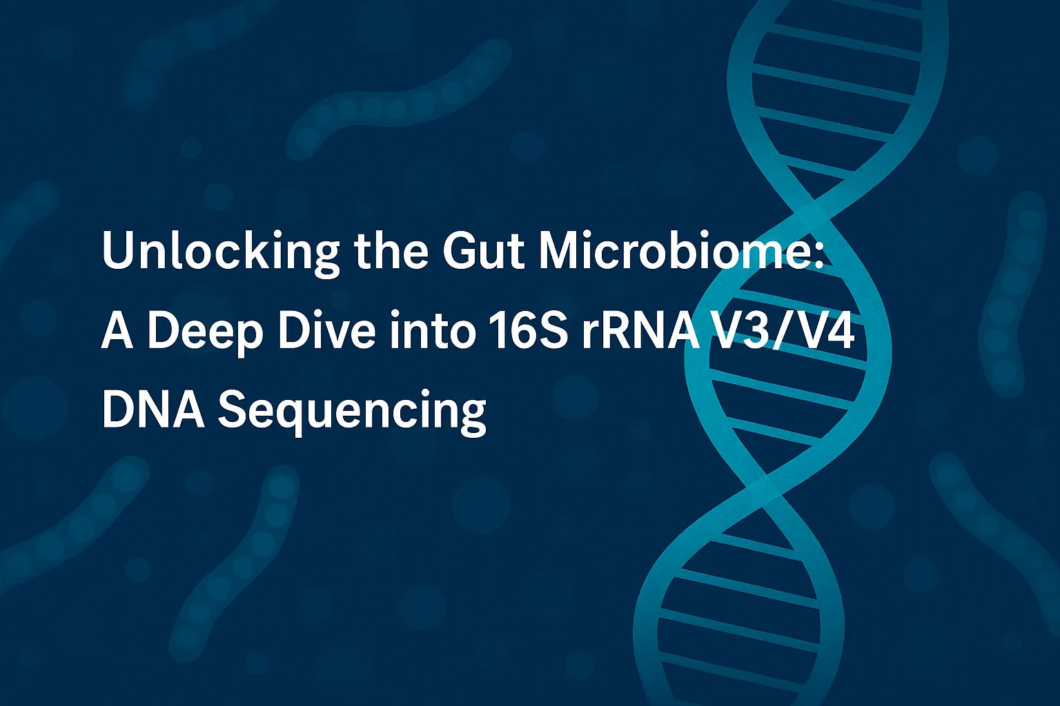 Unlocking the Gut Microbiome: A Deep Dive into 16S rRNA V3V4 DNA Sequencing