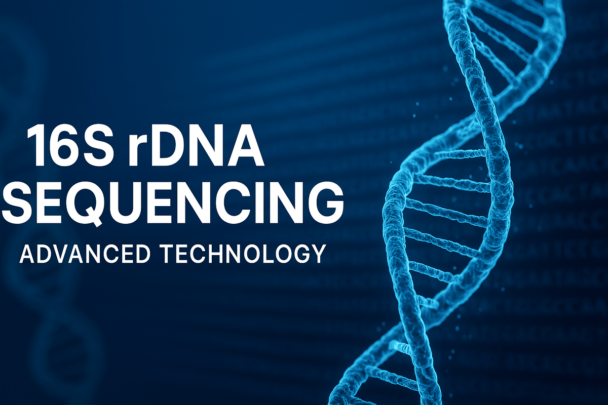 Unlocking the Microbiome: How 16S rDNA Sequencing Powers InnerBuddies’ Personalized Gut Health Insights - InnerBuddies