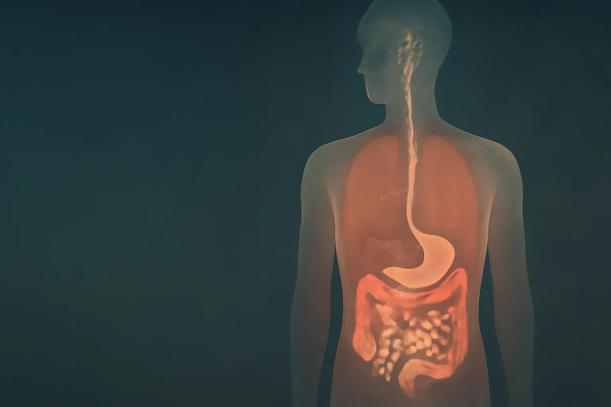 IBS age of onset