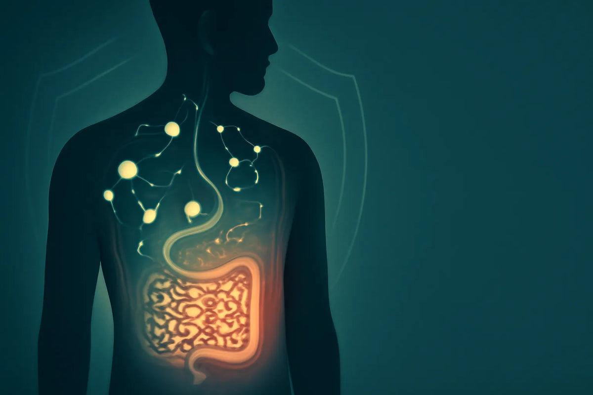 signs of a weak immune system