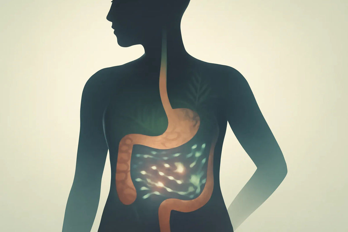 foods that restore pancreas