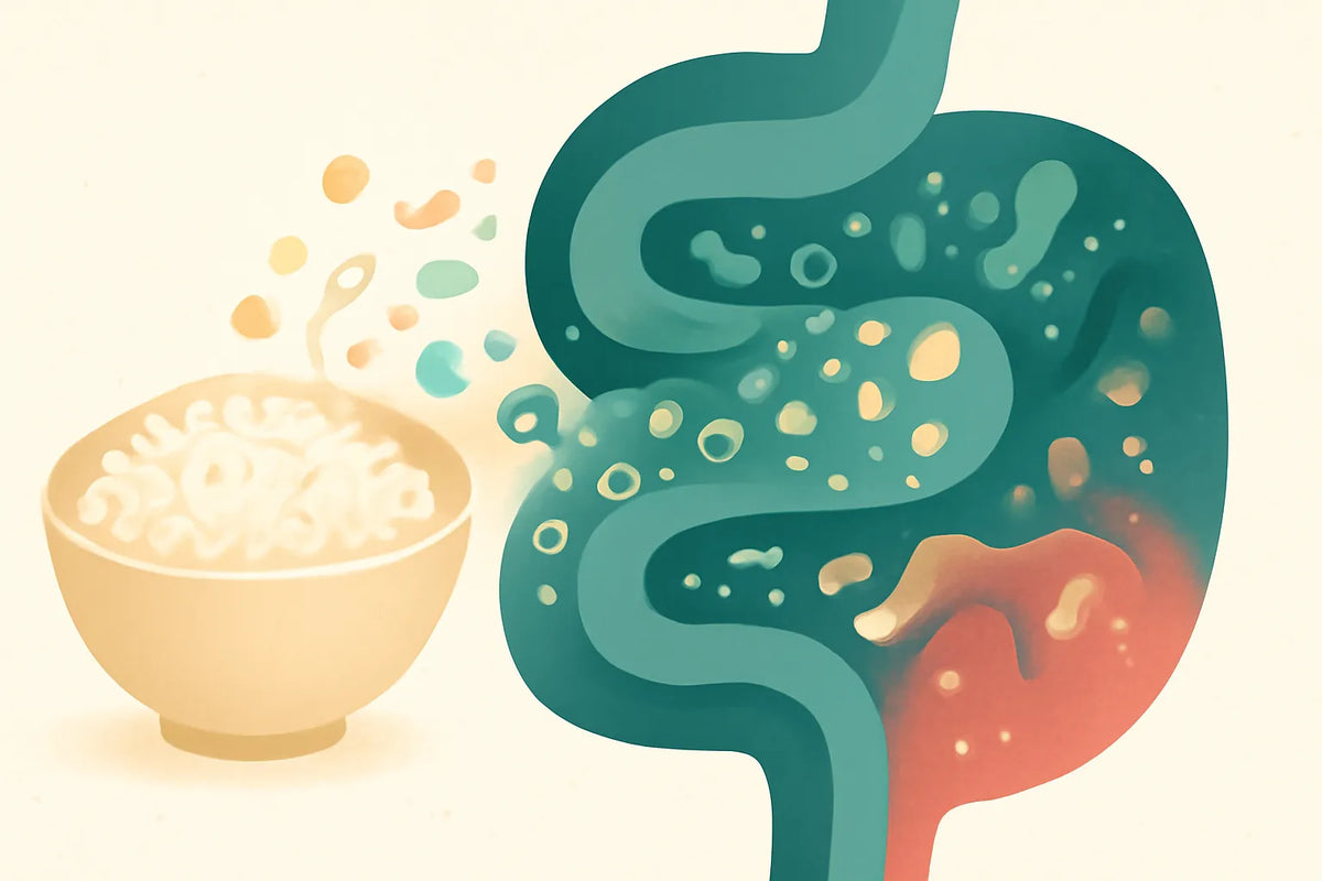 fermented rice