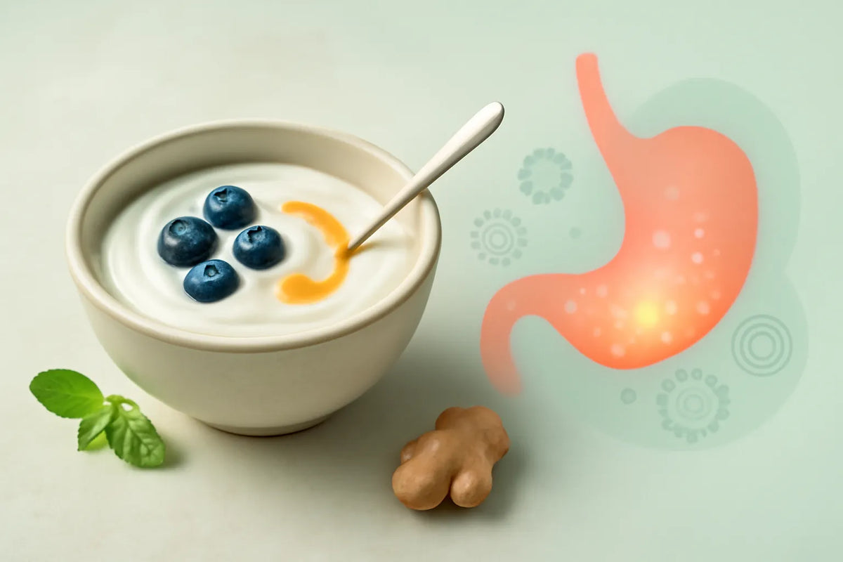 best yogurt for gastritis
