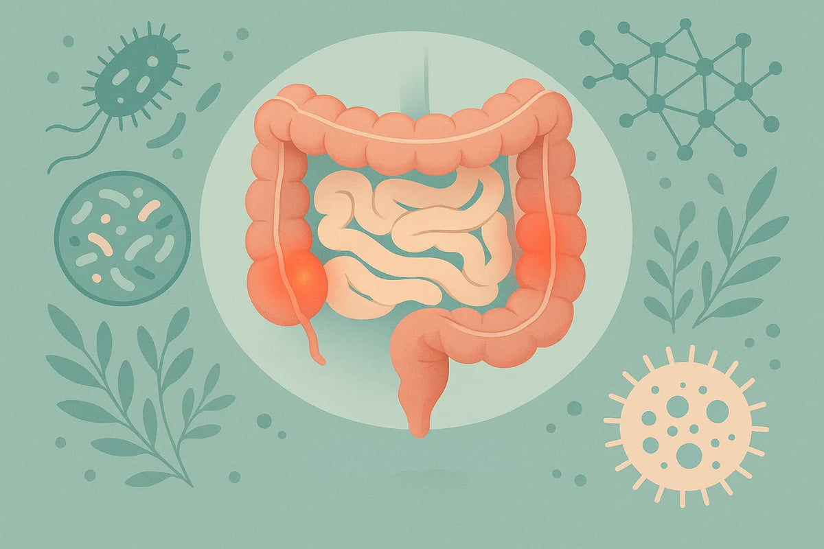 IBD