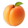 Damasco