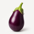 Aubergine